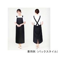 CML LDLエプロンL03 T101003