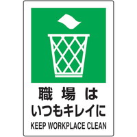 QPihrKiSWE͂LC