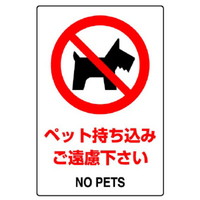 jbg@ihrKiXebJ[@ybg݂@cPTO~POO@PgiTj@WORTV`@SW
