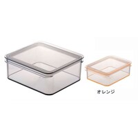 テンガ 保存容器 レクタングル P−5 オレンジ