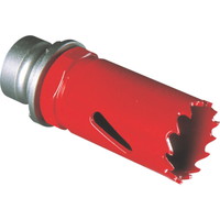 r|knbjoC^z[\[QTin̂݁j