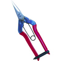 ߐ@XeXE