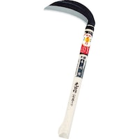 �L����́@���R��Аn�؊��P�V�T�����@�g�s�O�U�Q�O�@�P��