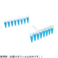 obqpیtB@wsq@r@tr|brPwW|SOO@}CNv[g@PiSOOj