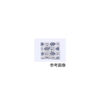VJQ@odstBR@Rogt[@r`Rimaj@PP[XiRTOOj