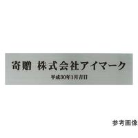 TCv[g@񑡕ipXebJ[@n@SV[@őTO~őPTO@`hjhyn|rQ