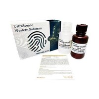【冷凍】CCH345−B100MLHRP検出試薬