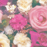 VW}@@ˁ@[Y`[~PO