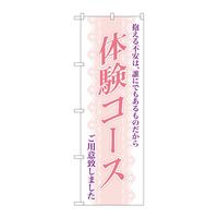oEnEov_Nc@̂ڂVTUǑR[X