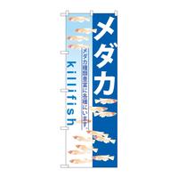 ̂ڂfma|TVP_J