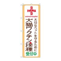 ̂ڂfma|URVLN`ڎt