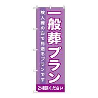 ̂ڂfma|VPXʑv