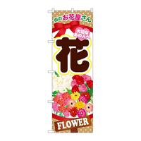 ̂ڂfma|POOP