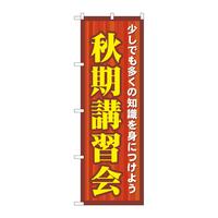 ̂ڂfma|PTXPHuK
