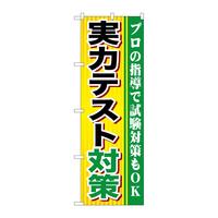 ̂ڂfma|PUOO̓eXg΍