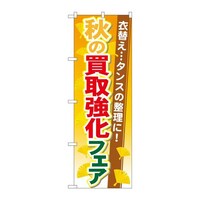 ̂ڂfma|PXUSH̔拭tFA