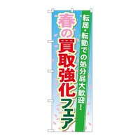 ̂ڂfma|PXUUt̔拭tFA