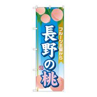 ̂ڂrma|PRSV̓