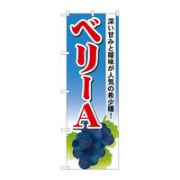 ̂ڂrma|PRVVx[`