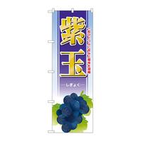 ̂ڂrma|PRVW
