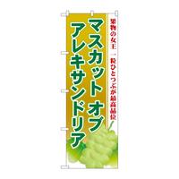 ̂ڂrmaPRWT}XJbgIuALThA