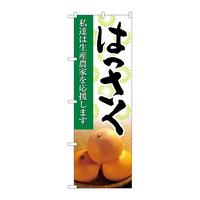 ̂ڂQPXWS͂ʐ^