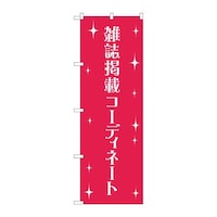P・O・Pプロダクツ のぼりGNB2807雑誌掲載コーディネート GNB2807 1枚