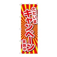 P・O・Pプロダクツ のぼりGNB2937ただいまキャンペーン実施 GNB2937 1枚