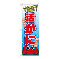 ̂ڂrma|PTSP