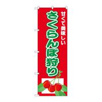 ̂ڂQUTTVڎÂ