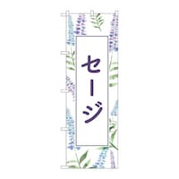 �o�E�n�E�o�v���_�N�c�@�̂ڂ�f�m�a�S�O�O�T�Z�[�W�w�i���@�f�m�a�S�O�O�T�@�P��