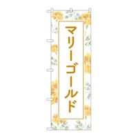 ̂ڂfma|SOQR}[S[hwi