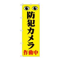 oEnEov_Nc@̂ڂfmaSTWRhƃJ쓮