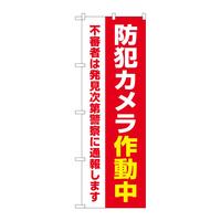 oEnEov_Nc@̂ڂfmaSTWShƃJ쓮