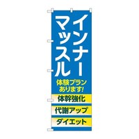 �o�E�n�E�o�v���_�N�c�@�̂ڂ�f�m�a�S�U�W�U�C���i�[�}�b�X���̌��@�f�m�a�S�U�W�U�@�P��