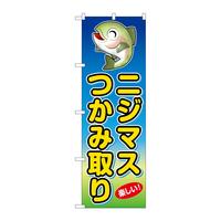 oEnEov_Nc@̂ڂrmaVWOPjW}Xݎ