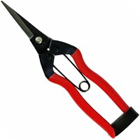 ѐ@zH@jPOk@Ԏ@@PWT@ao@jPOk@|p͂݁@P