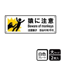 v[g@jsjQPOT@ɒӁ@Q@j`ka`r