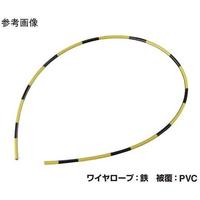 ӂ@gC