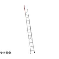 肪_tQA͂