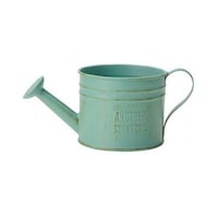 ケーイーアイ ケーイーアイ 2.5寸多肉用ジョーロ缶 グリーン 2100337 1個