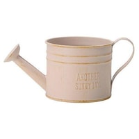 ケーイーアイ ケーイーアイ 2.5寸多肉用ジョーロ缶 ピンク 2100338 1個