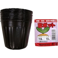 �n�ӑׁ@�n�ӑׁ@�c�|�b�g�@�V�D�T�����@�P�O���@�Q�P�O�O�X�Q�Q�@�P��