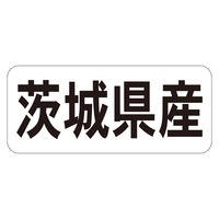 TTK@Nx@V[@錧YR@RZbg