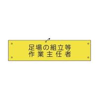 O[NX@rj[r͂PRT@̑gƎCҁ@PPQVPOOPRT
