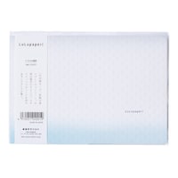 アピカ ノートルルパペリ15インチ01 64枚×5