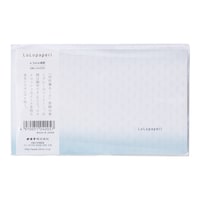 アピカ ノートルルパペリ13インチ05 64枚×5