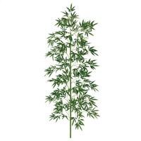 �X���n�Ӂi�X�g�A�E�G�L�X�v���X�j�@�f���b�N�X�o���u�[�c���[�@�Q�Q�O����