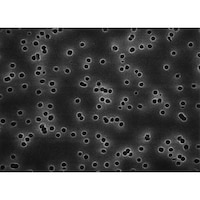 Merck Isopore disc PC philic 0.4μm 13mm blk pln 100/Pk 100PK HTBP01300 分析・検査 バイオサイエンス 1箱(100個)