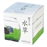 聖新 GD812 育てる水草(S) GD812 緑化用品 1個